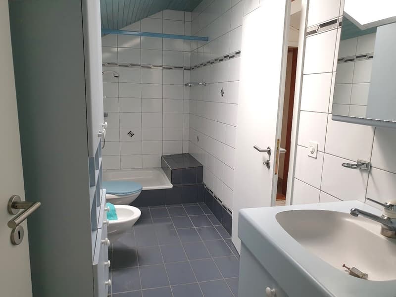 Appartement 3 pièces mansardé avec balcon (8)