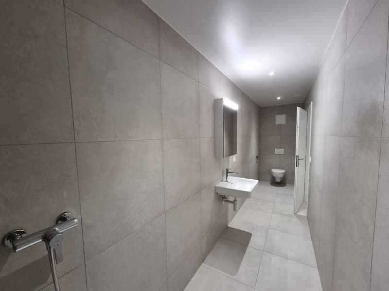 Grand appartement de 4 pièces récemment rénové (9)