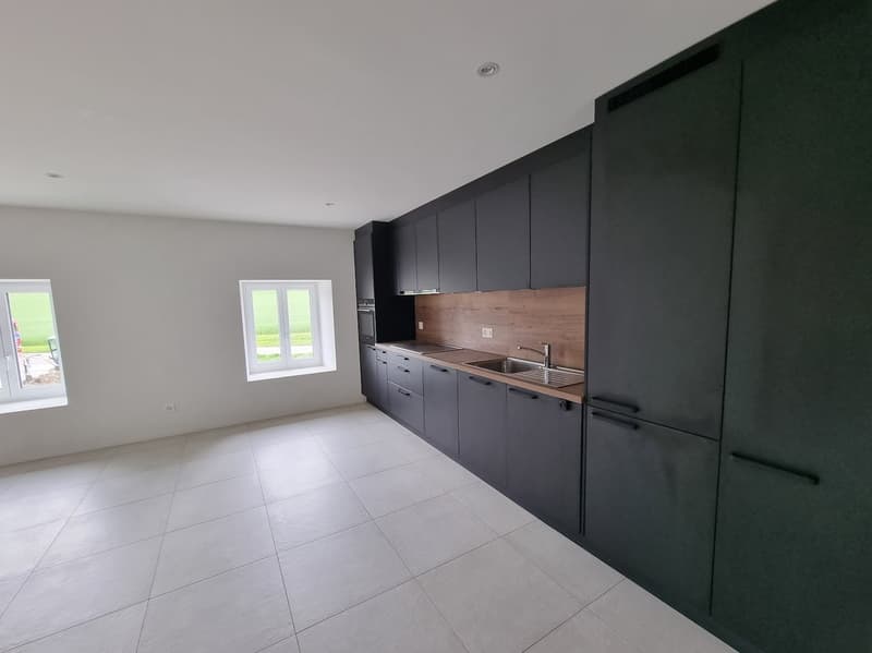 Grand appartement de 4 pièces récemment rénové (2)
