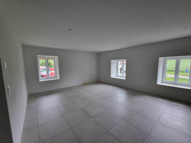Grand appartement de 4 pièces récemment rénové (4)