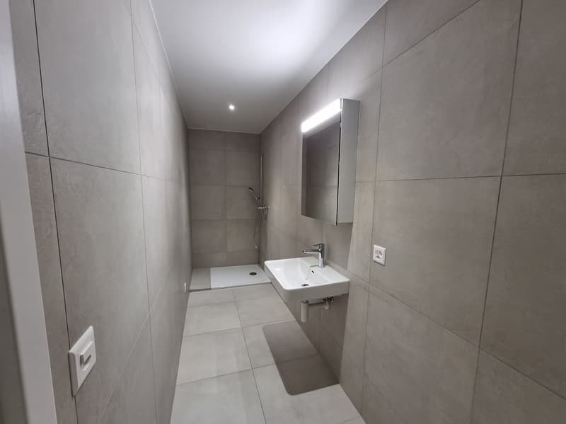 Grand appartement de 4 pièces récemment rénové (8)