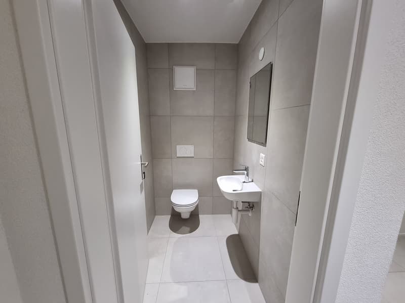 Grand appartement de 4 pièces récemment rénové (10)