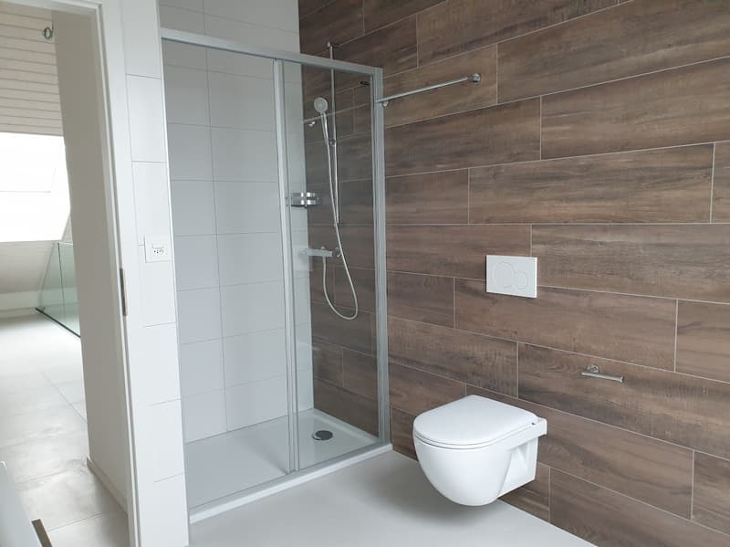 Magnifique appartement 4.5 pièces en duplex (8)