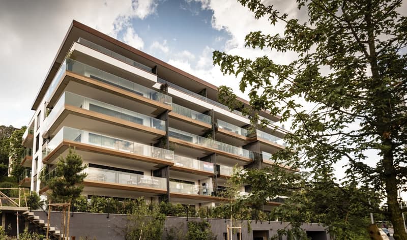 Splendide appartement de 3,5 pièces au rez avec terrasse (5)