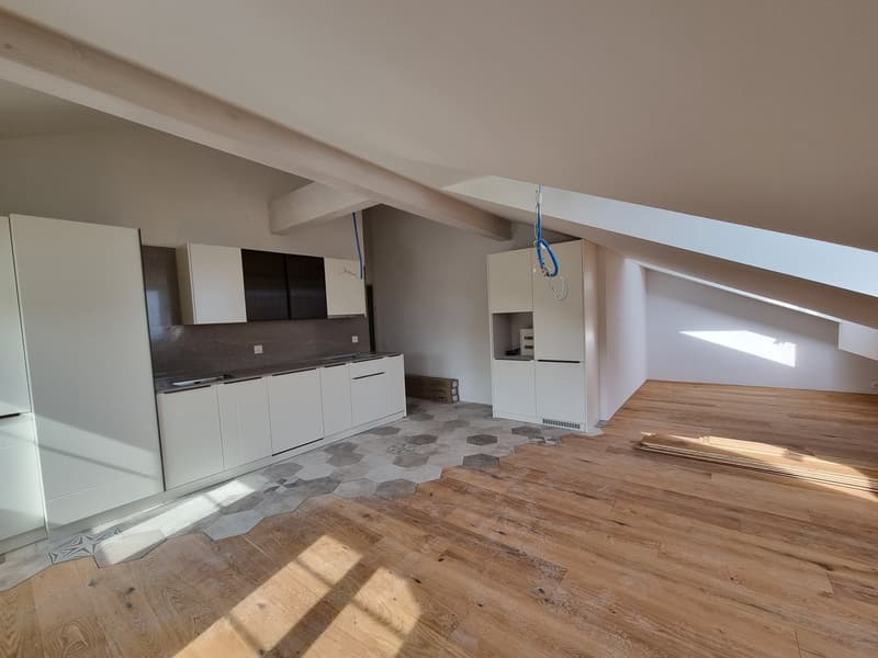 Charmants appartements neufs de 3,5 pièces au centre du village (1)