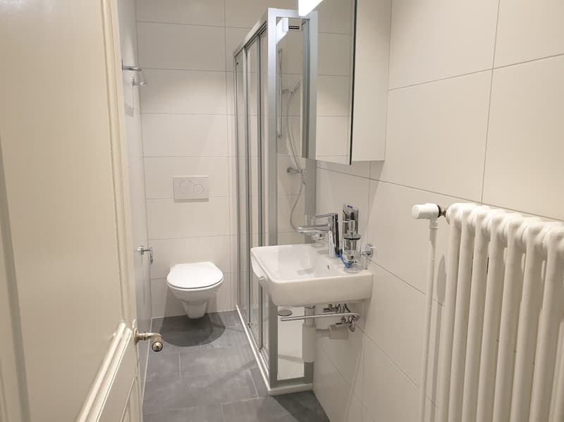 Appartement de 3 pièces avec ascenseur à proximité de la gare (6)