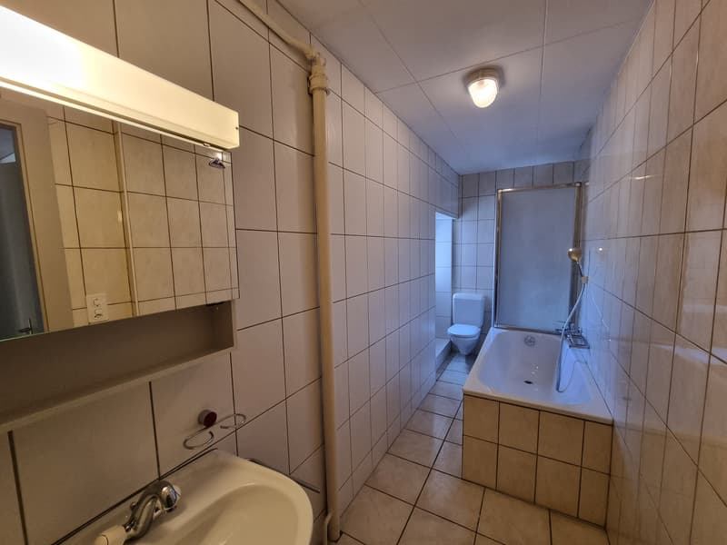 Joli appartement partiellement rénové de 4,5 pièces avec balcon et jardin commun (12)