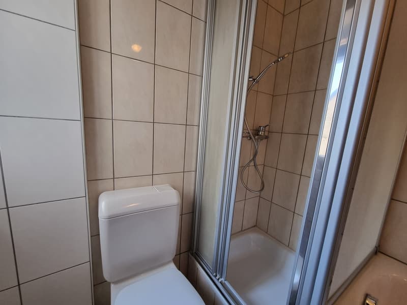 Joli appartement partiellement rénové de 4,5 pièces avec balcon et jardin commun (11)