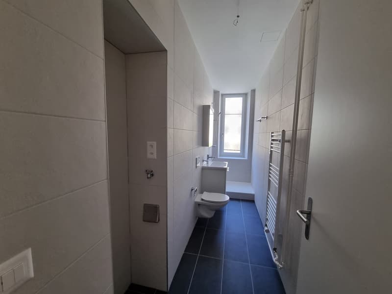 Appartement entièrement neuf de 3 pièces avec balcon et ascenseur (6)