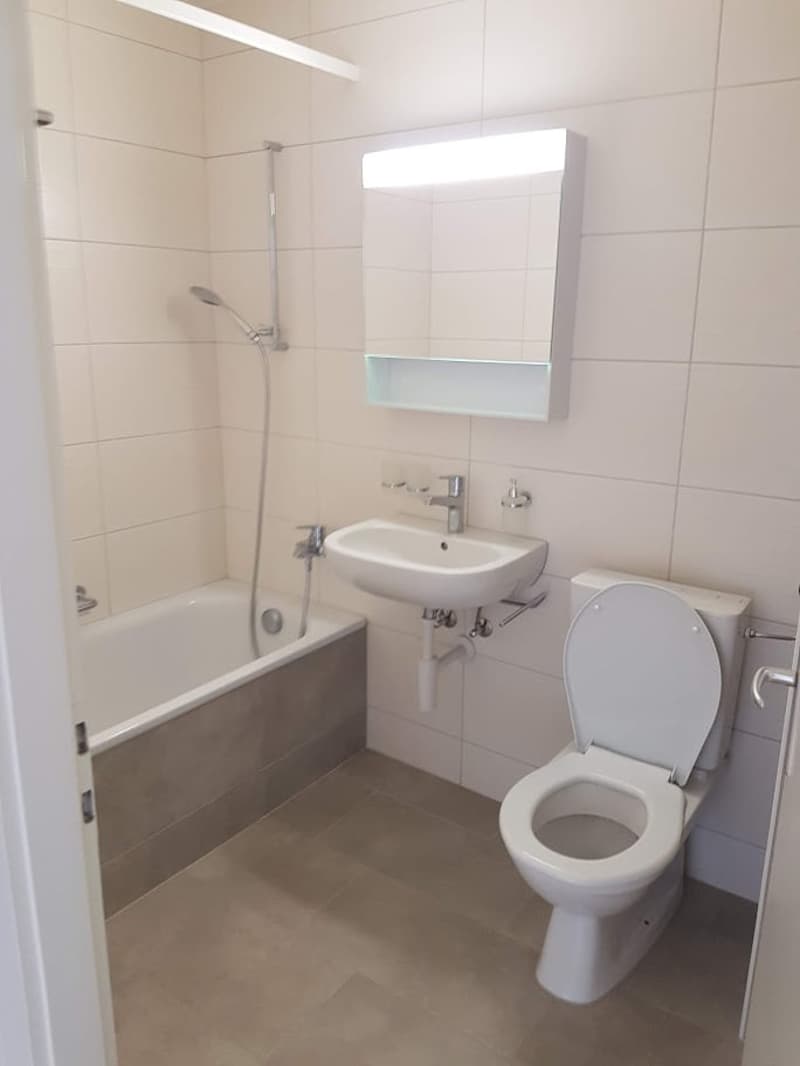 Appartement de 1,5 pièces situé dans un quartier calme (4)