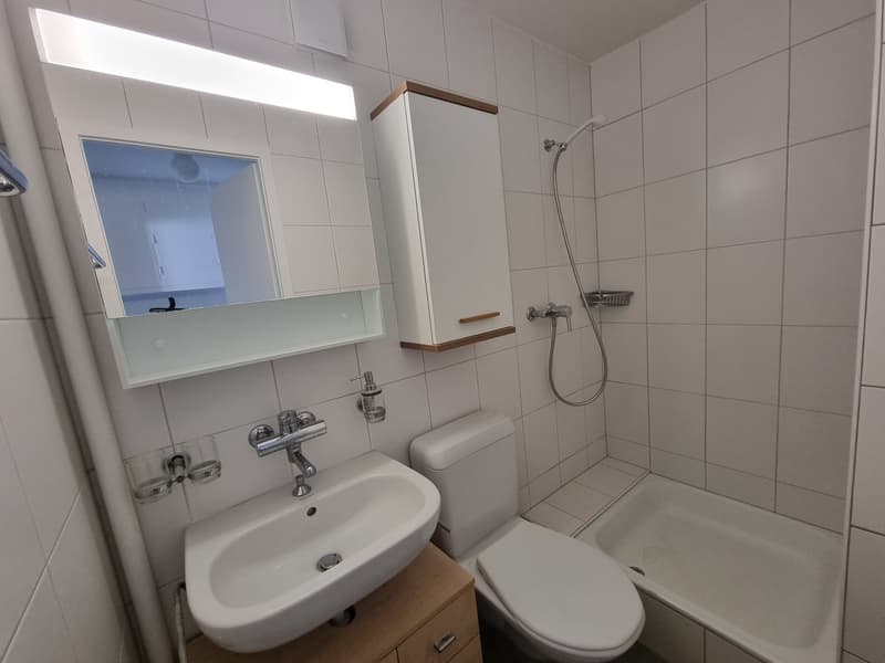 Joli appartement de 4 pièces rénové au centre du village (7)