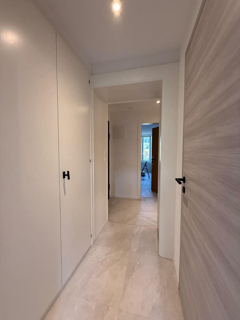 Superbe appartement de 3 pièces entièrement refait à neuf avec balcon situé dans un quartier calme (5)