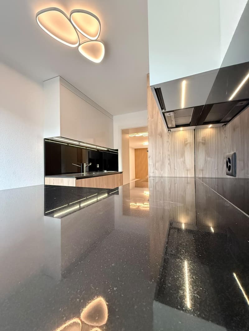 Superbe appartement de 3 pièces entièrement refait à neuf avec balcon situé dans un quartier calme (2)