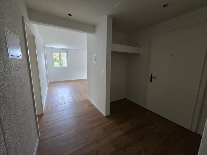 Spacieux appartement de 5 pièces avec balcons à Travers (11)