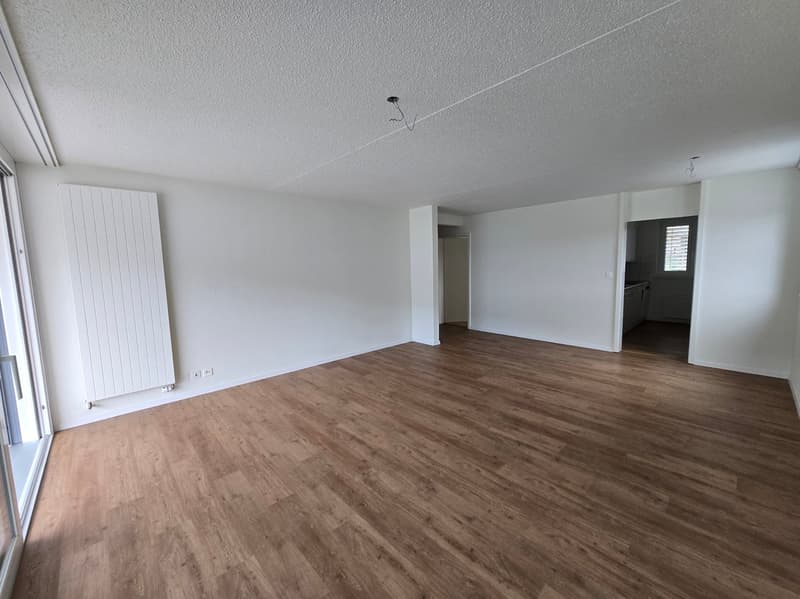 Spacieux appartement de 5 pièces avec balcons à Travers (3)