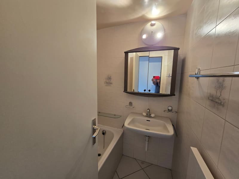 Appartement duplex de 3.5 pièces (10)