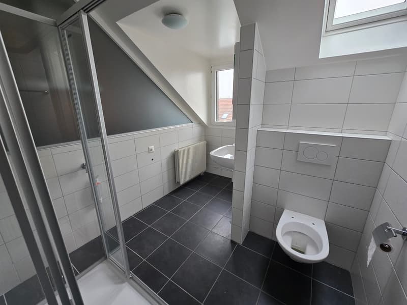 Bel appartement de 3 pièces siuté dans un quartier calme (9)