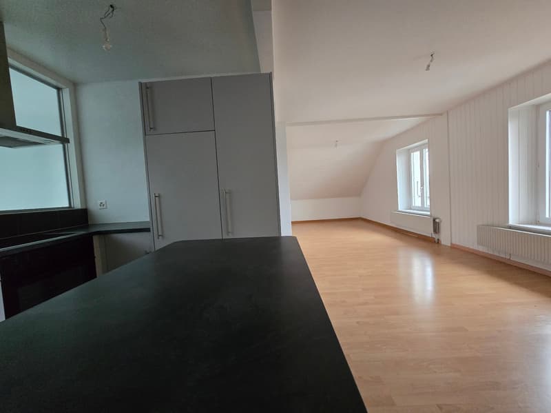 Bel appartement de 3 pièces siuté dans un quartier calme (3)