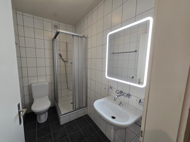 Bel appartement de 3 pièces siuté dans un quartier calme (7)