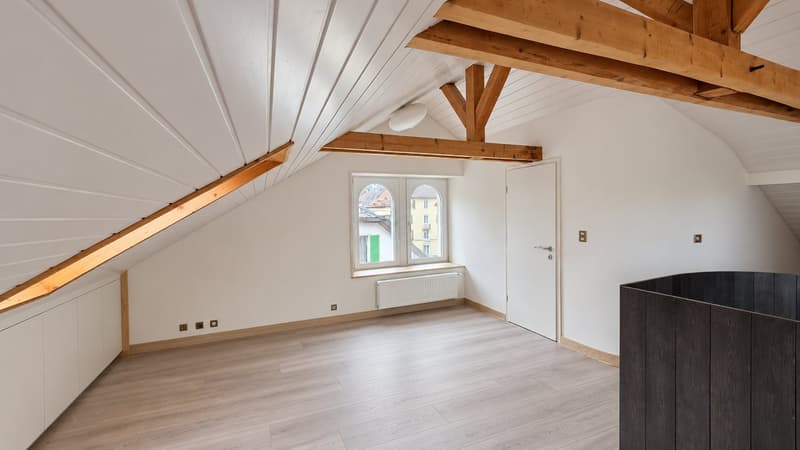 Appartement en duplex entièrement rénové de 2.5 pièces (6)