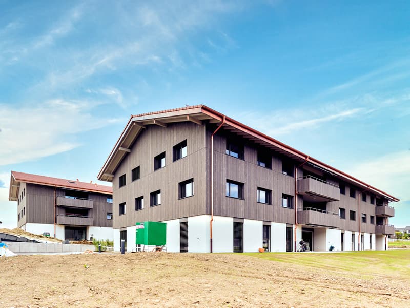 Spacieux logement neuf de 4.5 pièces avec grand balcon (9)