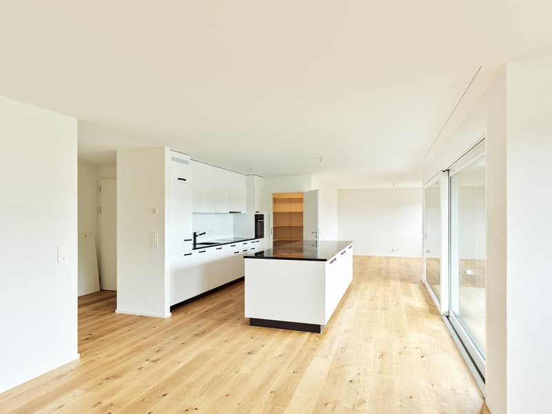 Spacieux logement neuf de 4.5 pièces avec grand balcon (1)
