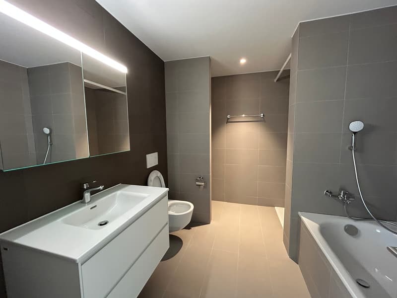 Appartements de 4,5 dans un cadre calme et verdoyant à Châtonnaye (4)