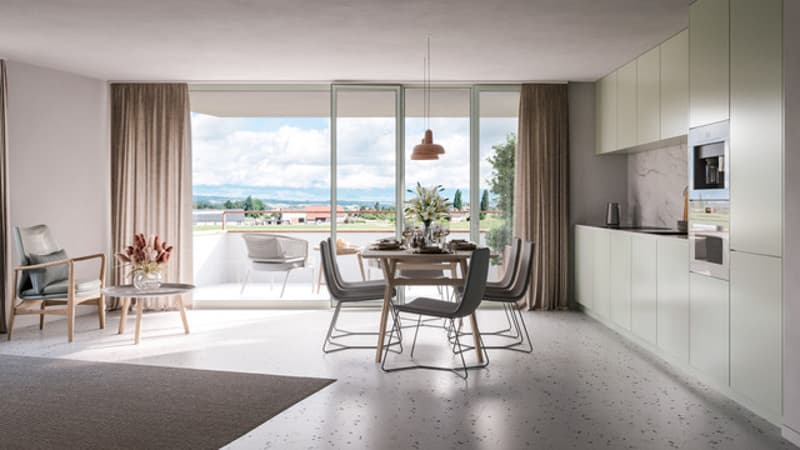 Appartements de 4,5 dans un cadre calme et verdoyant à Châtonnaye (3)
