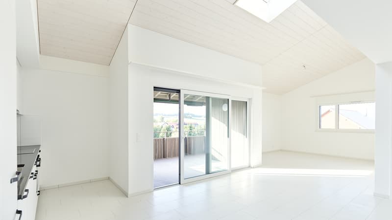 Spacieux appartements neufs de 4,5 pièces dans un cadre verdoyant (2)