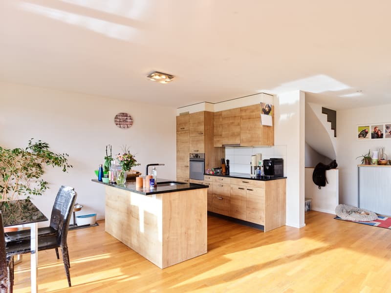 Grand appartement en triplex très lumineux, avec terrasse et jardin (2)