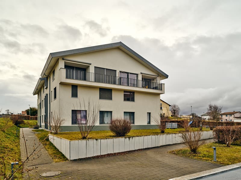 Grand appartement en triplex très lumineux, avec terrasse et jardin (12)