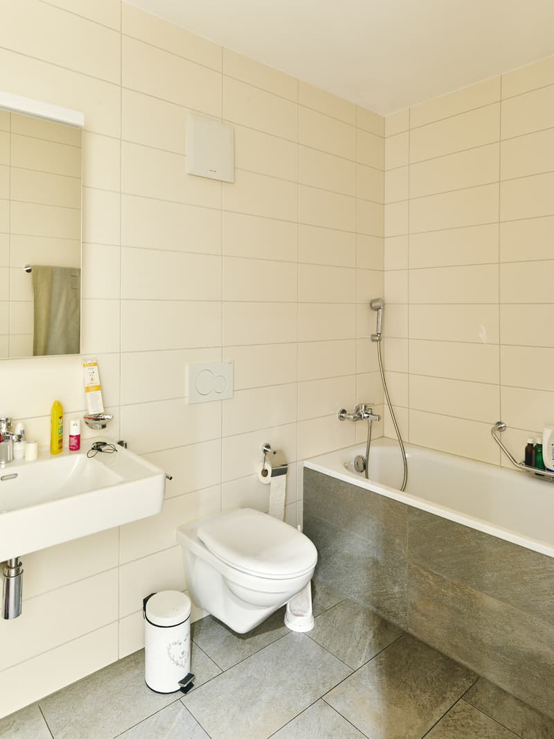 Grand appartement en triplex très lumineux, avec terrasse et jardin (7)