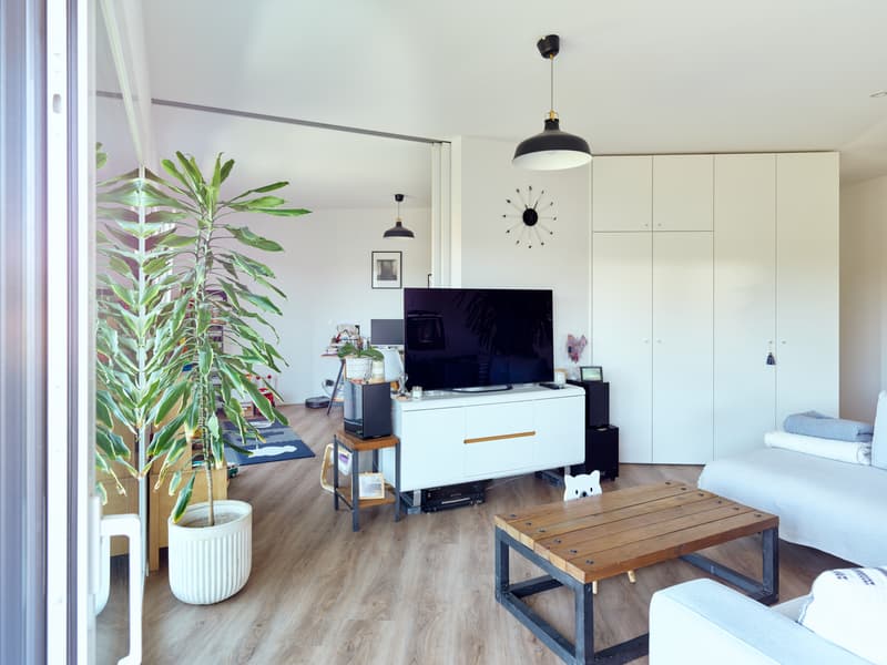 Magnifique 4,5 pièces de qualité dans une petite résidence (3)