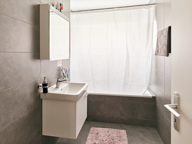 Très grand et beau 3.5 pièces avec terrasse dans un cadre paisible (6)