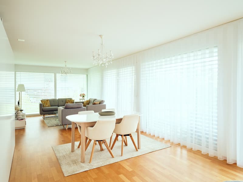 Très grand et beau 3.5 pièces avec terrasse dans un cadre paisible (1)