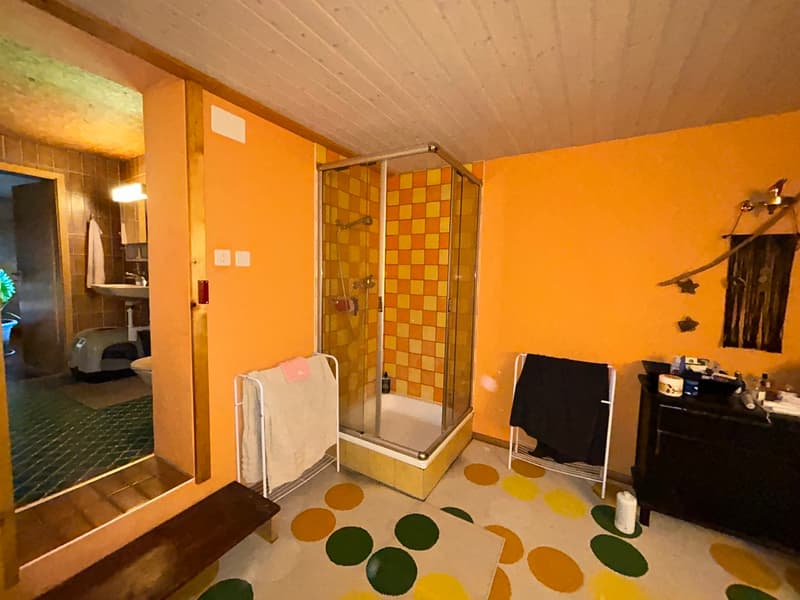 Maison isolée en pleine campagne (11)