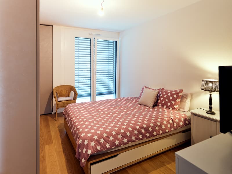 Appartement de 2,5 pièces traversant à louer de suite aux Echervettes (3)