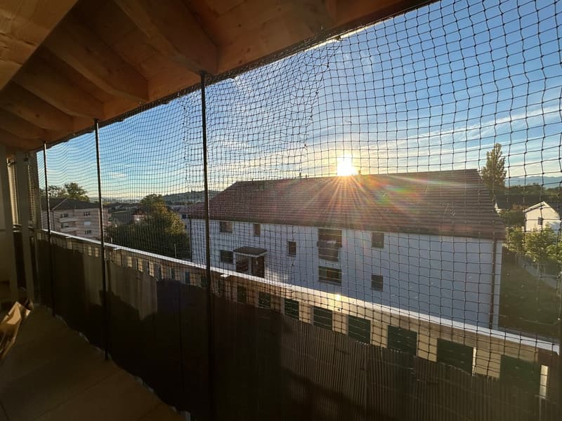 Appartement moderne de 2,5 avec grand balcon, idéal au quotidien (5)