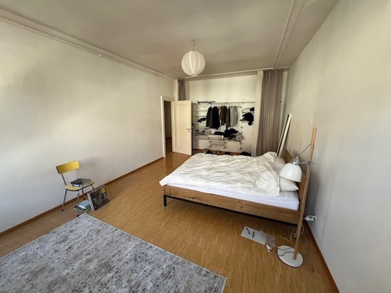 Appartement spacieux de 3.5 pièces au centre-ville (5)