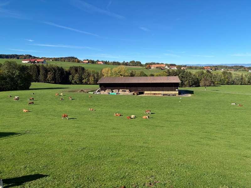 Appartement neuf de 2,5 pièces avec grand balcon et vue dégagée (5)