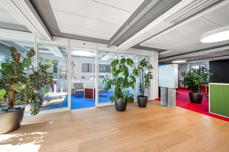 Bürohaus Inwilerried - Platz für Visionen. Raum für Ihr Unternehmen. (10)