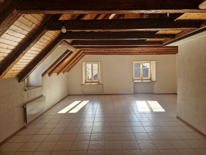 Superbe appartement de 2,5 pièces à La Chaux-de-Fonds (1)