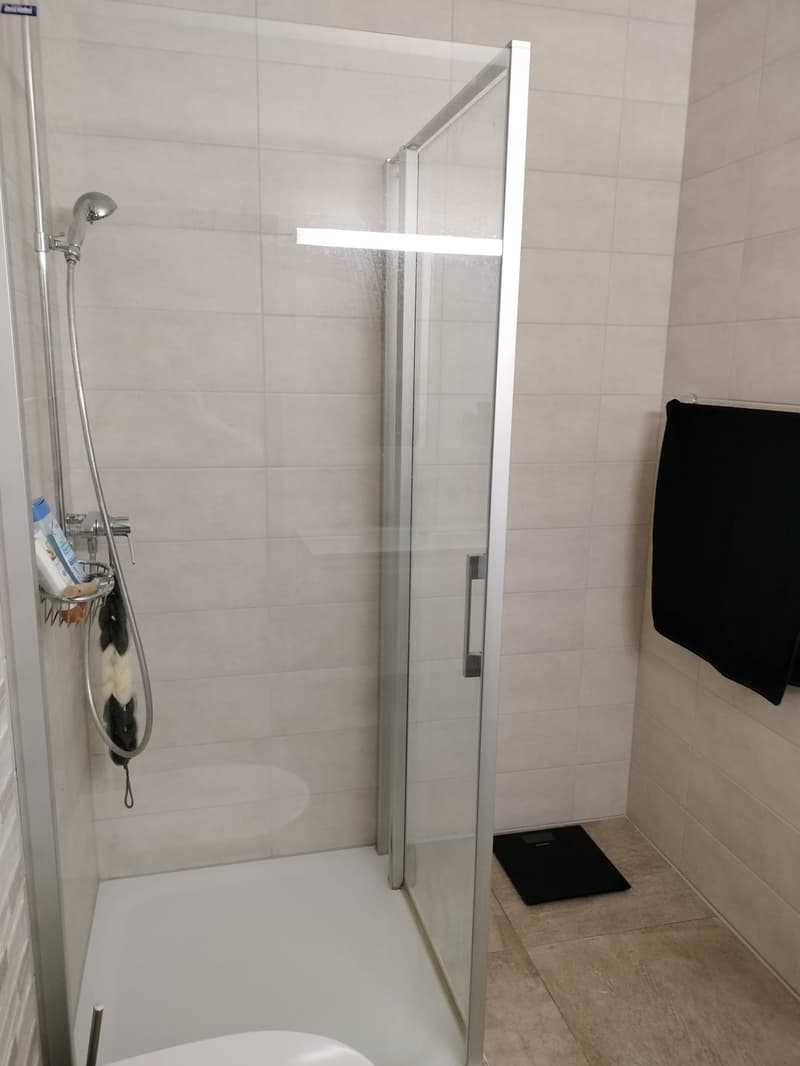 Superbe appartement de 3,5 pièces à louer à Delémont (10)