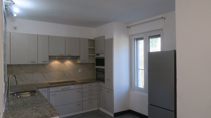 Magnifique appartement de 4,5 pièces à Bienne (3)