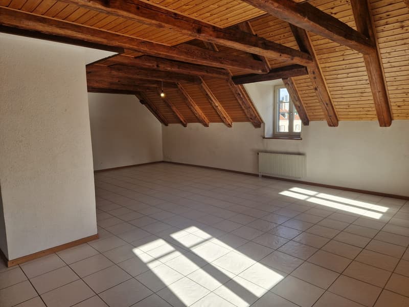 Superbe appartement de 2,5 pièces à La Chaux-de-Fonds (4)