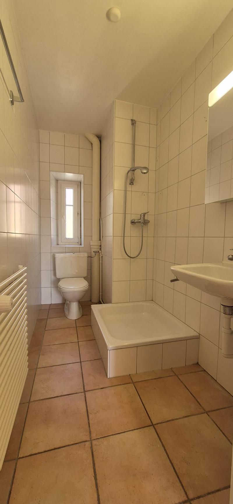 Bel Appartement de 3 Pièces à La Chaux-De-Fonds (5)