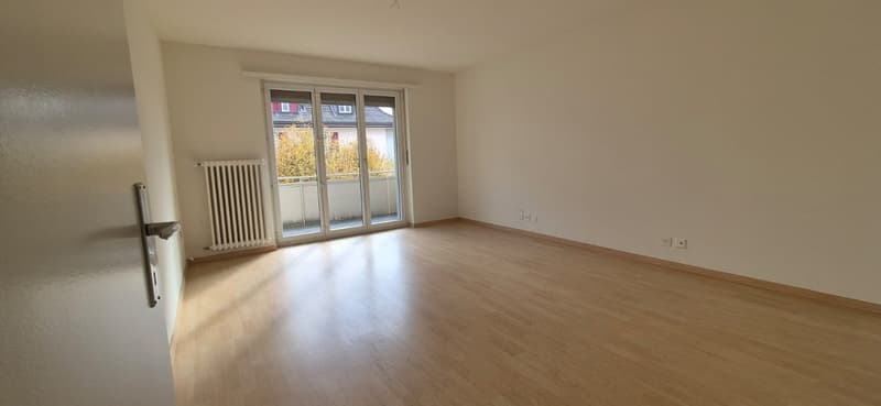 Charmant appartement de 3,5 pièces à louer à Bienne (3)