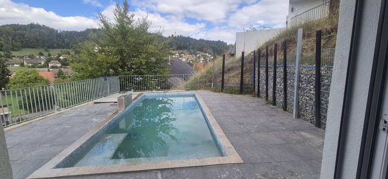 Exklusive Neubauvilla mit Pool (6)