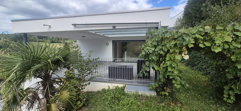 Exklusive Neubauvilla mit Pool (3)