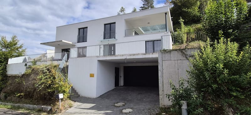 Exklusive Neubauvilla mit Pool (1)